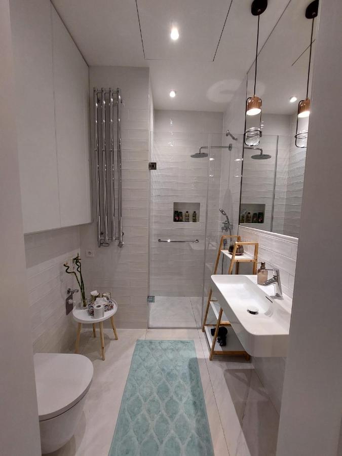 Luxury Apartment In The Centre براغ المظهر الخارجي الصورة
